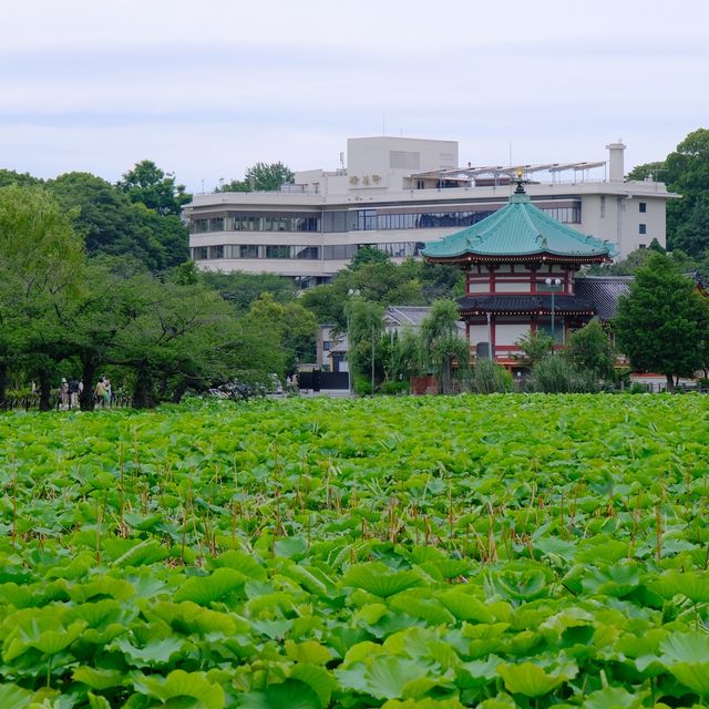不忍池弁天堂