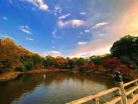 鷺池と紅葉