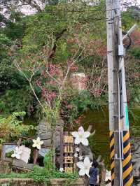 新竹北埔獅頭山風景區景點｜藤萍步道、歇心茶樓、北埔老街感受濃情客家風味