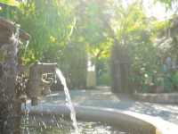 prem cafe in garden
