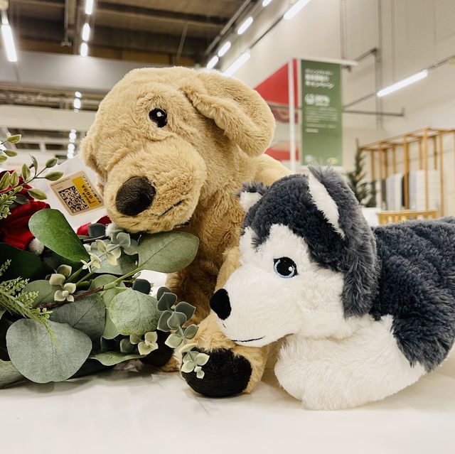 IKEA Tokyo-Bayのぬいぐるみ