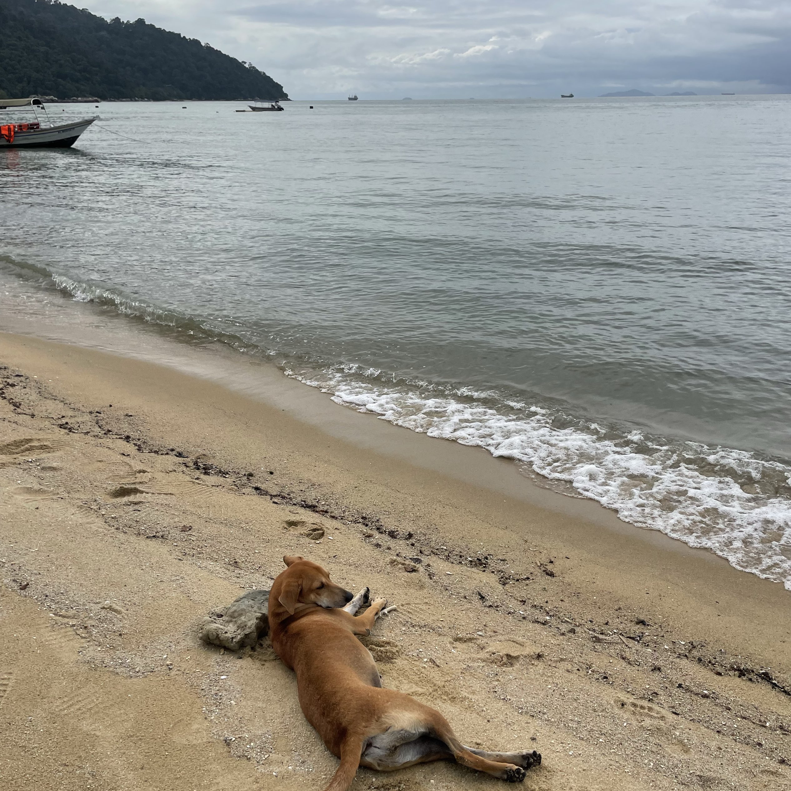 Chuyến đi đón giao thừa 3 đêm 4 ngày đến Đảo Pangkor