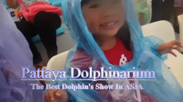 dolphin show พัทยา