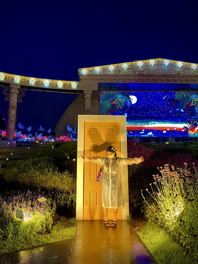 올 여름☀️놀이공원과 물놀이, 두 마리 토끼를 잡고 싶다면?! 에버랜드로 고고!