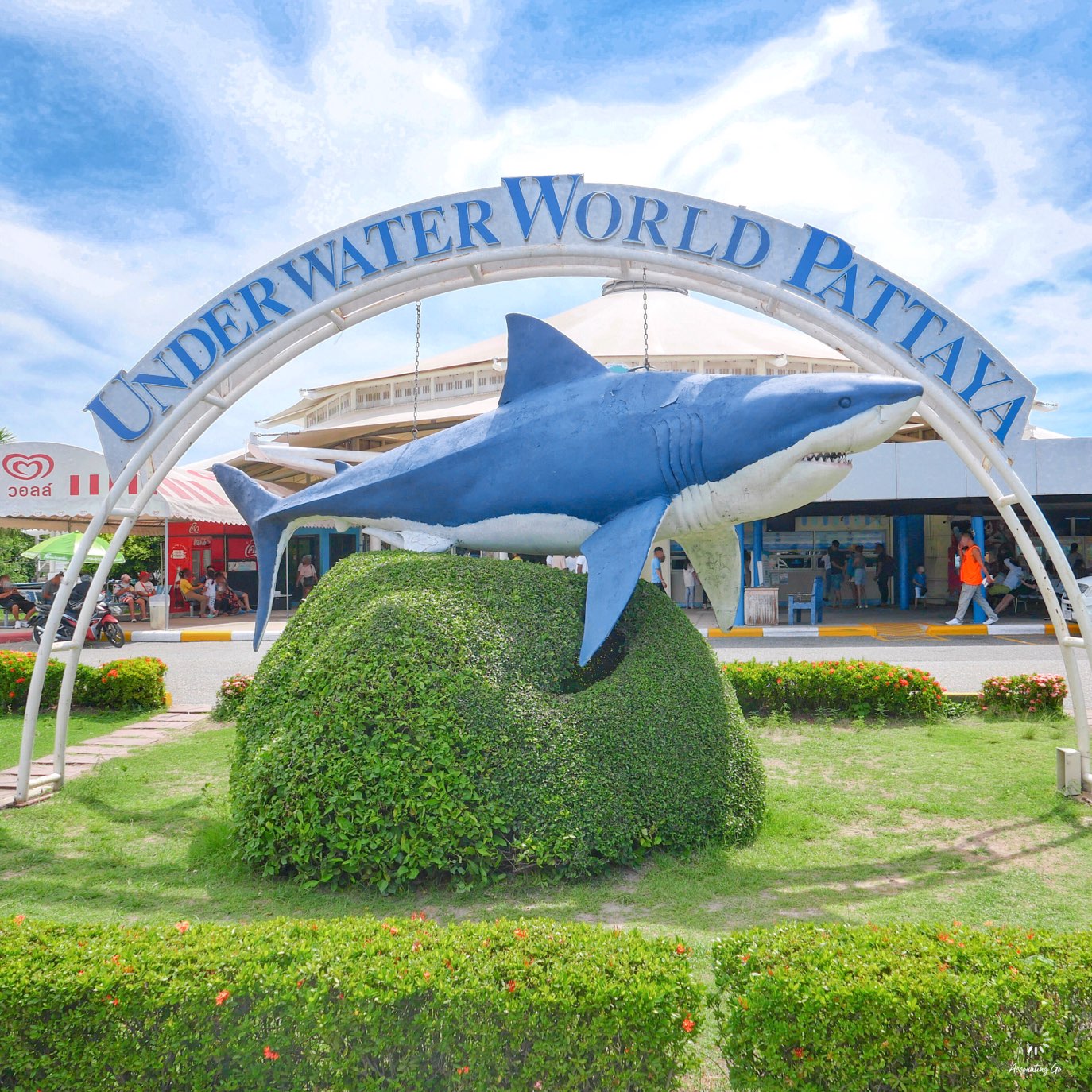 ผจญภัยโลกใต้น้ำ “Under Water World” พัทยา! | Trip.com พัทยา ผจญภัยโลกใต้น้ำ “Under Water World” พัทยา! | Trip.Com พัทยา