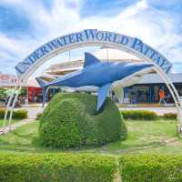ผจญภัยโลกใต้น้ำ “Under Water World” พัทยา!