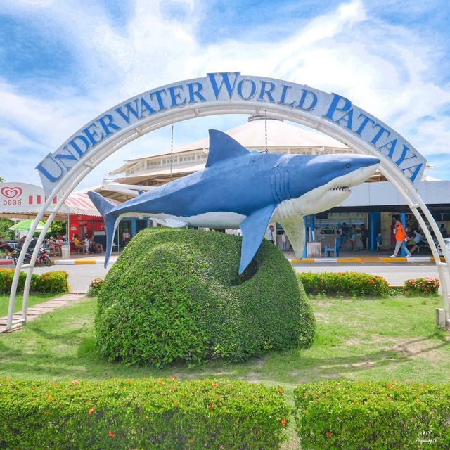 ผจญภัยโลกใต้น้ำ “Under Water World” พัทยา!
