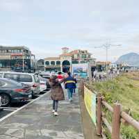 Jeju island 🇰🇷🏝⛰💗🫶🏻🛫✈️