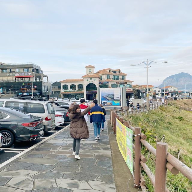 Jeju island 🇰🇷🏝⛰💗🫶🏻🛫✈️