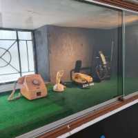 A Museum filled with historical telephones 