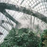 Experience at Cloud forest Dome in Singapore 