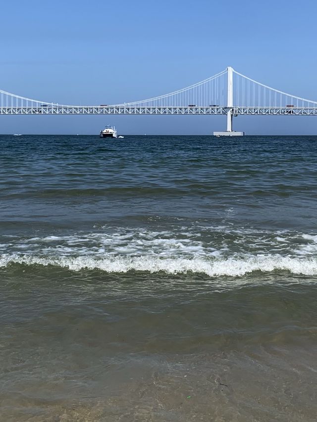 광안리 해수욕장에서 일광욕과 수영을 즐겨요 🌊🐳🧜‍♀️