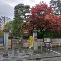 岩手県！庭園と紅葉が有名な南昌荘