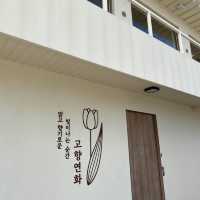 부산 기장 비주얼 굳, 돈가스 맛집 추천 [고향연화]