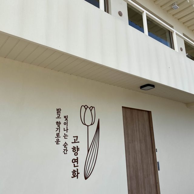 부산 기장 비주얼 굳, 돈가스 맛집 추천 [고향연화]