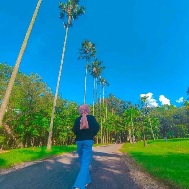 The Purwodadi Botanical Garden