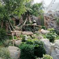 Ocean Park Hong Kong
