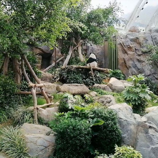 Ocean Park Hong Kong