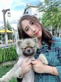 Homestay in dalat