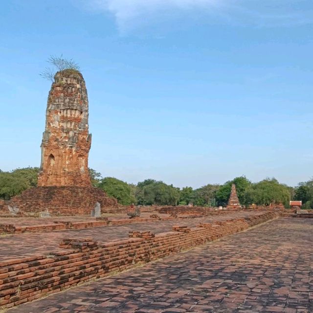 พระพุทธไสยาสน์ที่ใหญ่ที่สุดในเกาะเมืองอยุธยา 