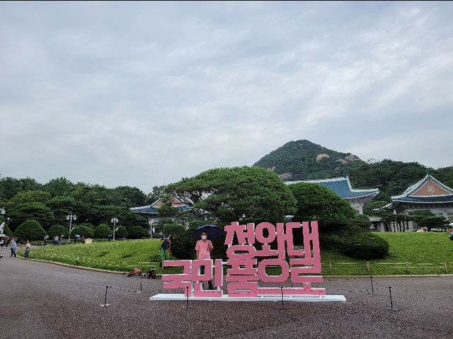 청와대 개방기념 나들이