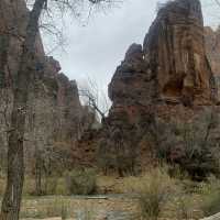 Zion Adventure 