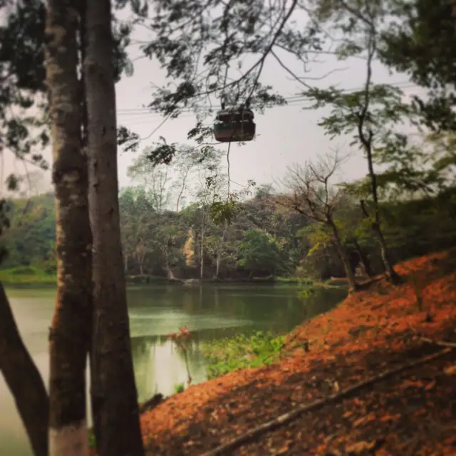 Camping in the woods!