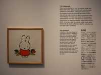 荷蘭🇳🇱 Miffy Museum 米菲兔博物館 粉絲必到！