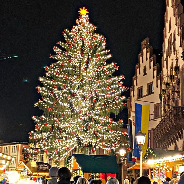 Frankfurter Christmas Market 