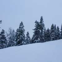 A Winter Wonderland in Finland☃️❄️🇫🇮