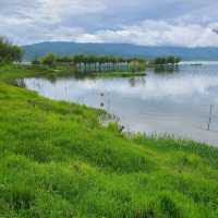 The wonders of Yunnan- Lashihai Wetland Park