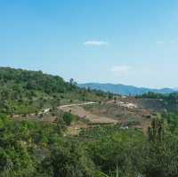 picking tea in the mountains of puer 