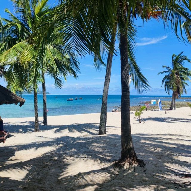 🌴A tiny slice of tropical paradise 🌴