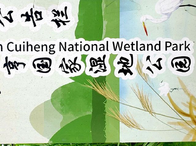 Into The Wetlands!