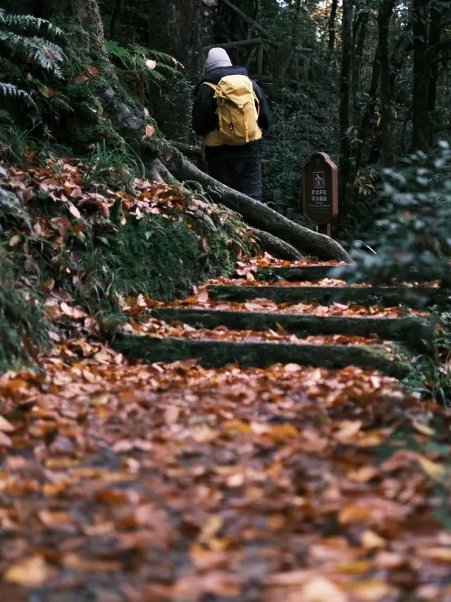 Longcanggou Forest Park in Ya'An