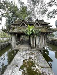 Visit the Dragons of Manzhang Village