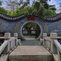 A natural oasis in the heart of Shenzhen! 