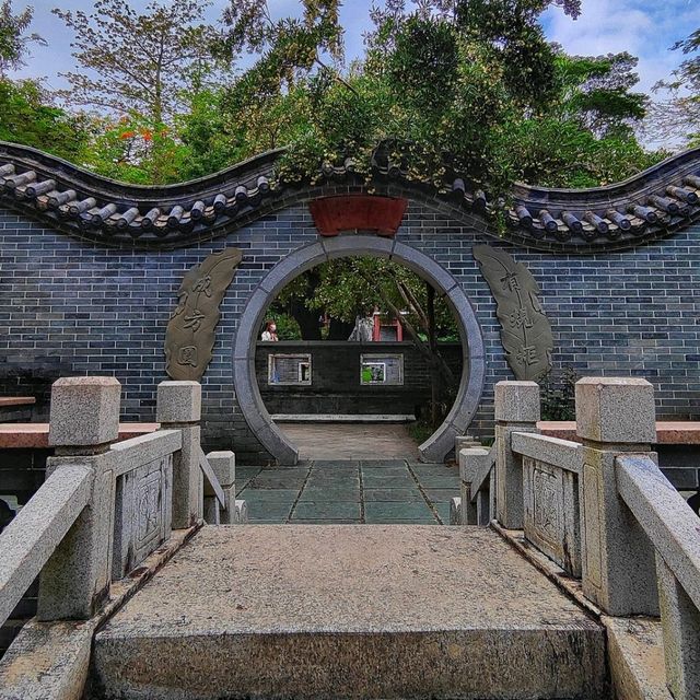 A natural oasis in the heart of Shenzhen! 