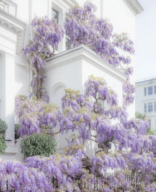 London, UK | Strolling through the streets of Notting Hill in the acclaimed film "Notting Hill"