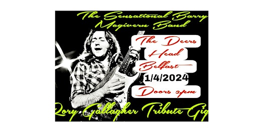 Rory Gallagher Tribute Gig | The Deer's Head