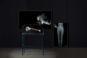 WORKSHOP // Bone Drift | Exploring bone china making and (dis)ability | artisan - Queensland's home of craft and design