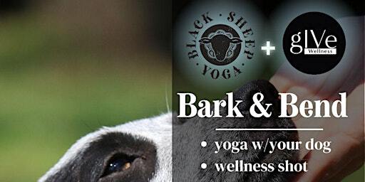 Bark & Bend | Washington Park Playground