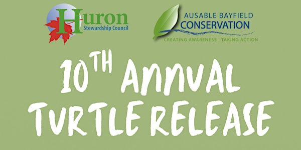 10th Annual Turtle Release | Morrison Dam Conservation Area