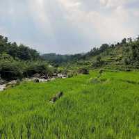 MOUNT PANCAR, BOGOR CITY