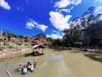 【新竹】休閒觀光農場|親子景點|鴛鴦池農場