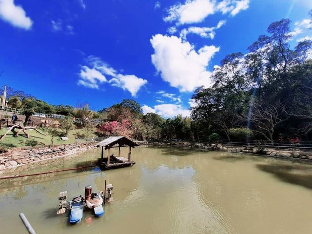 【新竹】休閒觀光農場|親子景點|鴛鴦池農場