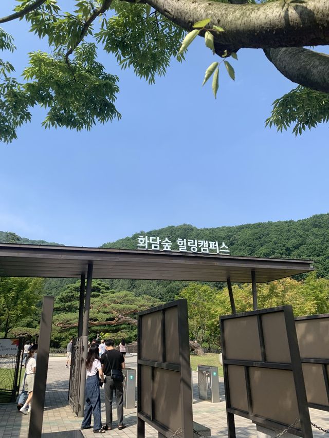 가을 여행지 추천 :: 화담숲🌳