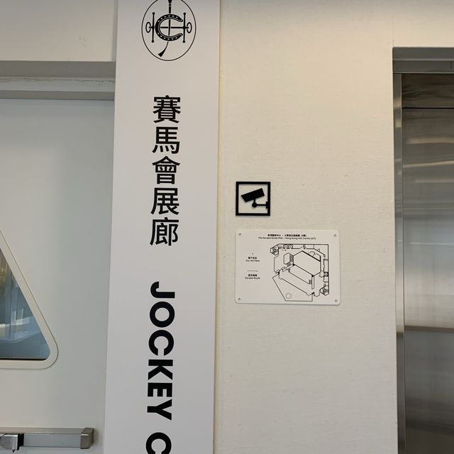林穴：回顧展