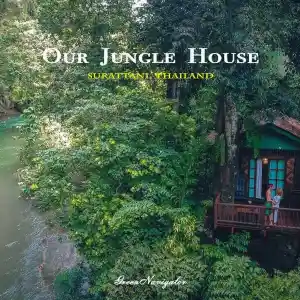 Our jungle house ณ เขาสก