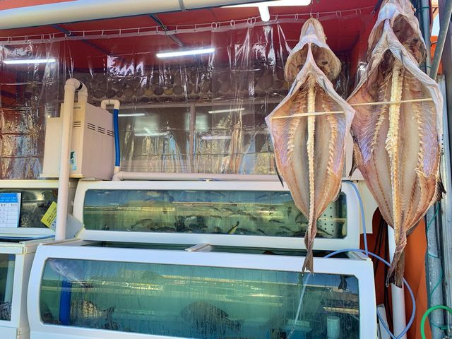 [🇰🇷, 창원] 겨울 특별 보양식 대구탕 맛집, 진해 용원횟집 🐟